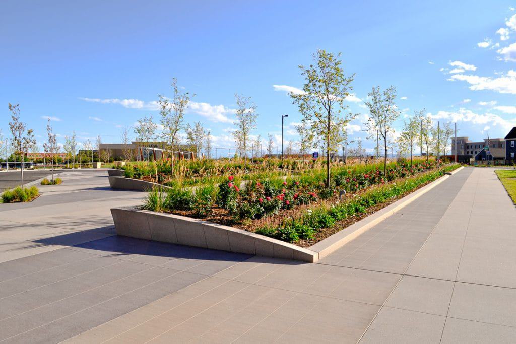 Northfield Conservatory Green had planter walls made with sandscape.